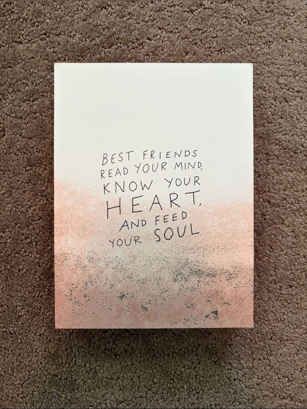 Hobby Lobby Pink and White 'Best Friends Read Your Mind' Wall Art
